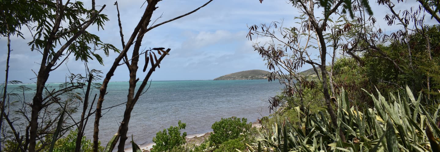 Donate Friends of the St. Croix East End Marine Park