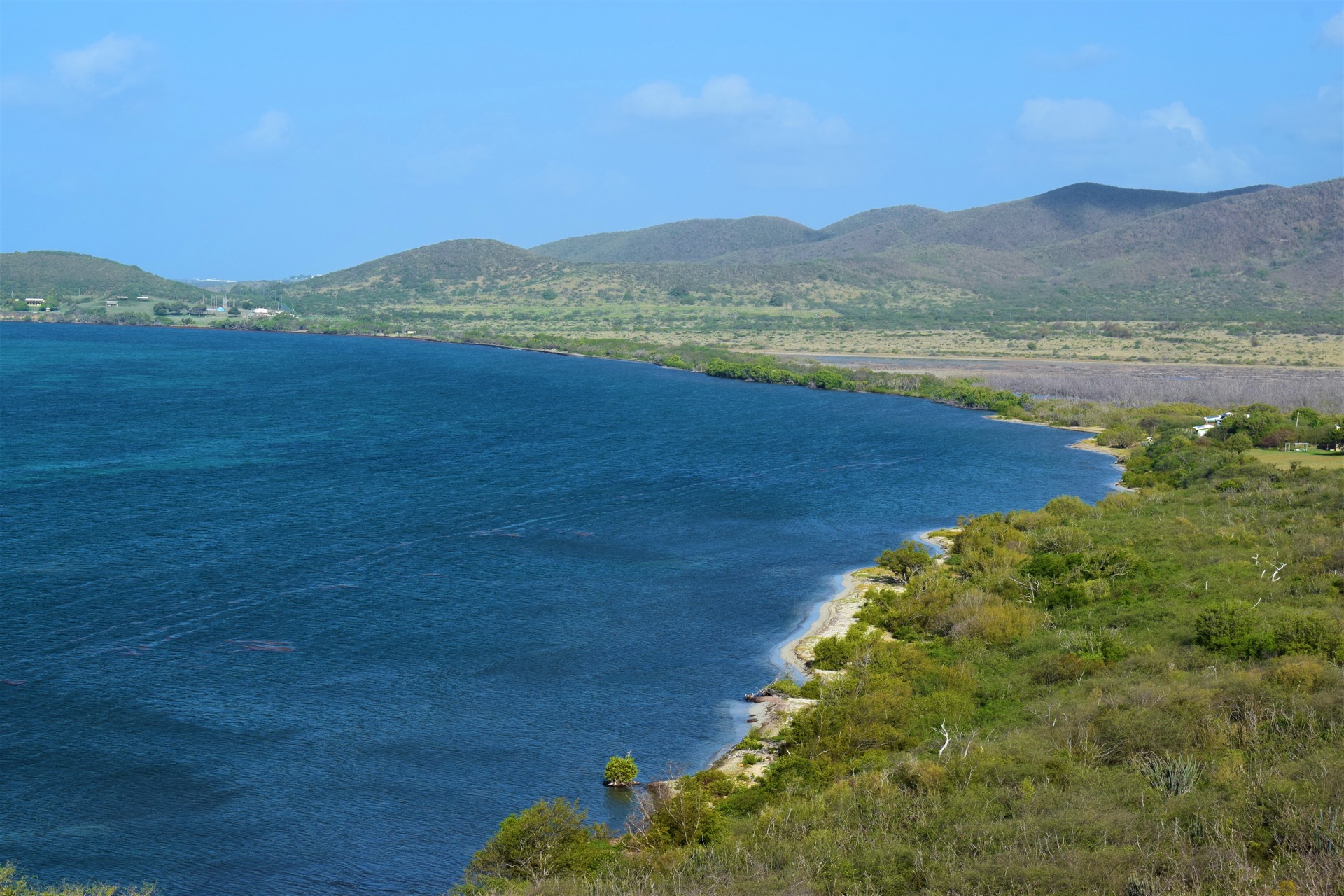 What’s Up with Great Pond? Friends of the St. Croix East End Marine Park